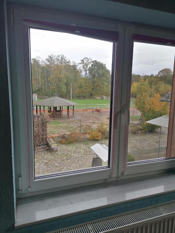 Weidmannsruh Apartment Fuer 2 Bis 3 Personen Frauendorf  ภายนอก รูปภาพ